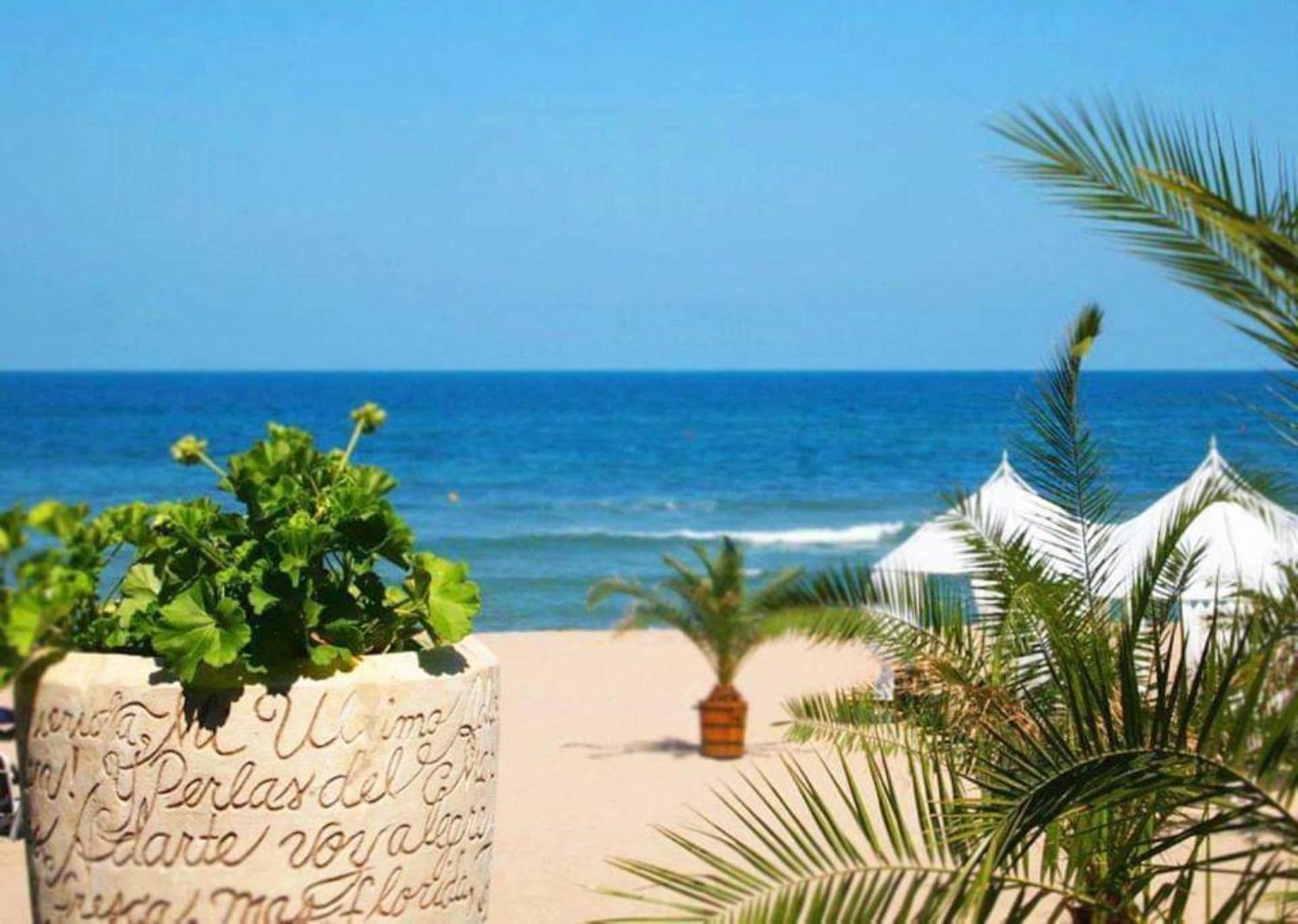 Oasis Del Mare Beach Front Hotel 로제넷츠 외부 사진